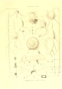 n122_w1150