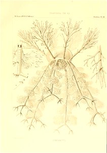 n118_w1150