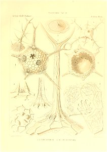 n102_w1150