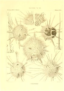 n94_w1150