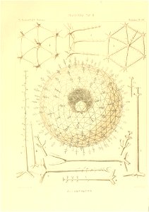 n78_w1150
