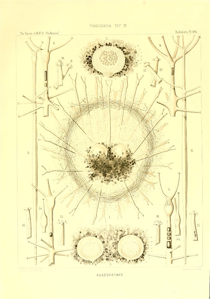 n58_w1150