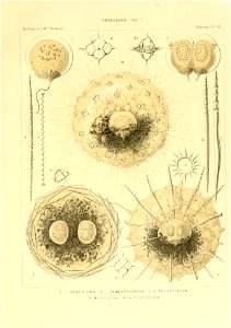 n46_w1150