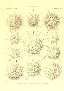 n84_w1150