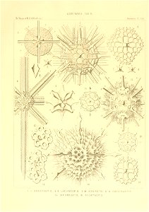 n68_w1150