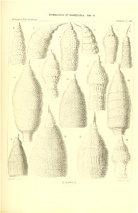 n460_w1150