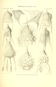 n436_w1150
