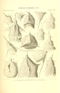 n428_w1150