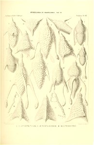 n420_w1150