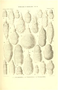 n416_w1150