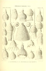n404_w1150