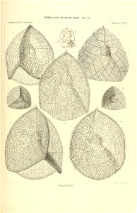 n408_w1150