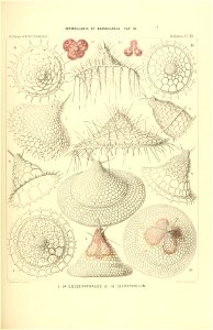 n392_w1150