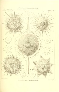 n352_w1150