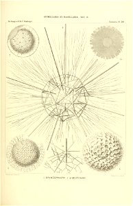 n312_w1150
