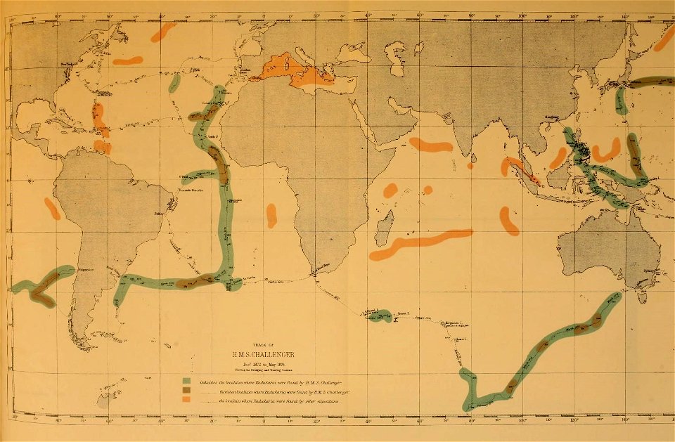 n271_w1150