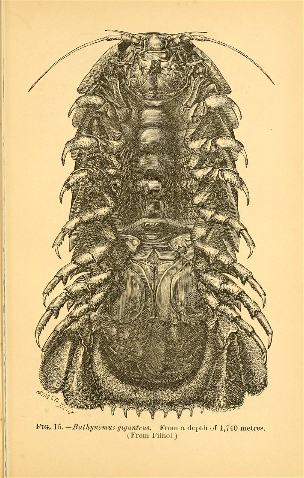 n152_w1150