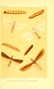 n564_w1150