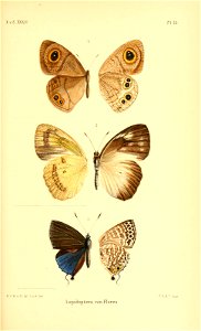 n558_w1150
