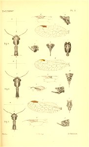 n534_w1150