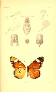 n530_w1150