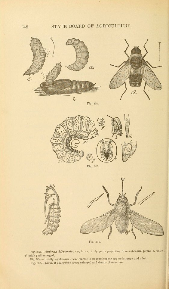 n699_w1150