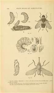 n699_w1150