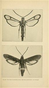 n508_w1150