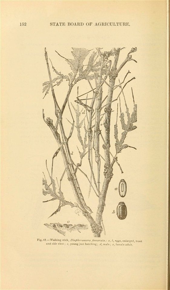 n169_w1150
