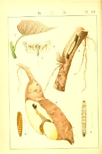 n233_w1150