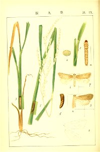 n209_w1150