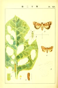 n197_w1150