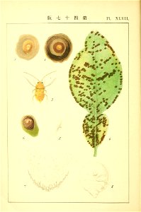 n57_w1150