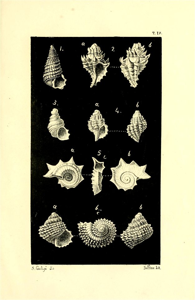 n126_w1150