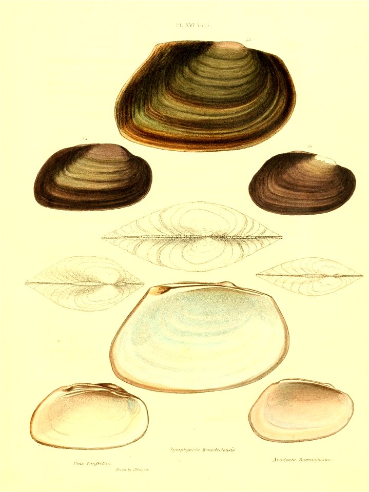n308_w1150