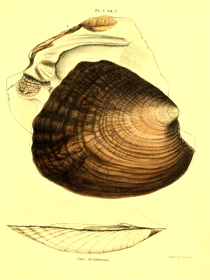 n202_w1150