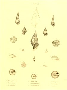 n164_w1150