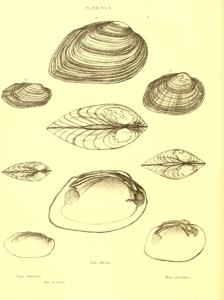 n155_w1150