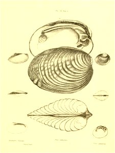 n146_w1150