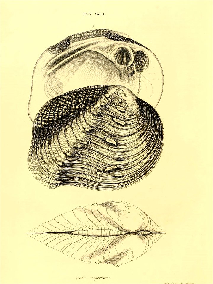 n113_w1150