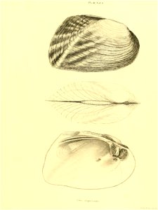 n106_w1150