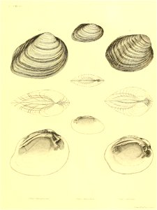 n58_w1150
