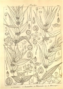 n223_w1150