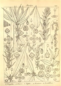 n222_w1150
