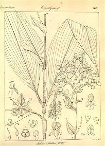 n197_w1150