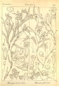 n196_w1150