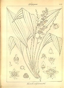 n181_w1150