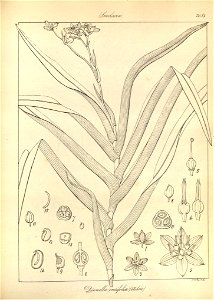 n182_w1150