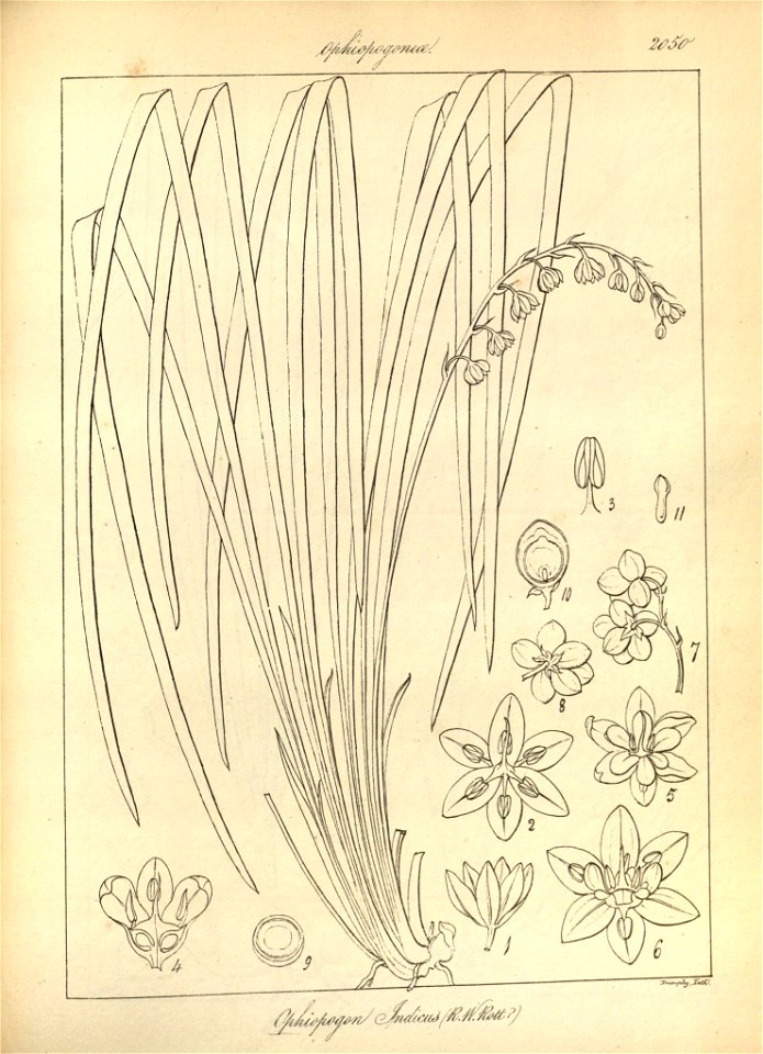 n179_w1150