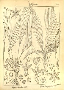 n175_w1150